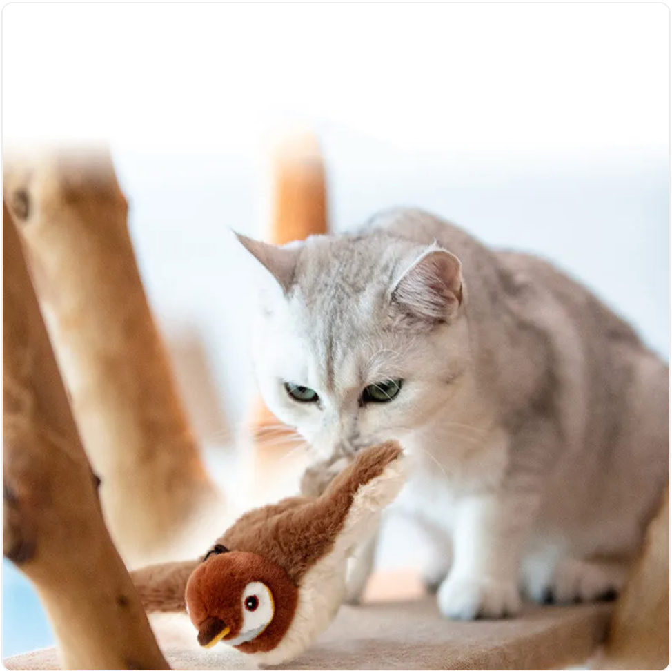 Interactive Plush Cat Toy - Sound & Motion Jumping Fish or Flapping Bird