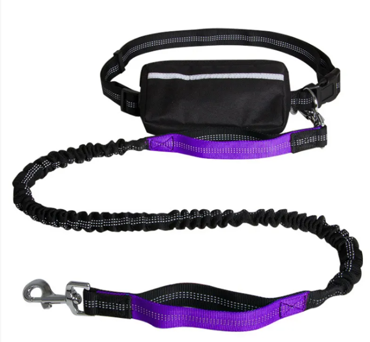 Reflecto Hands-Free Dog Leash