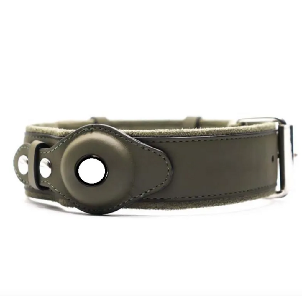 Leather Dog Collar with Location Tracker