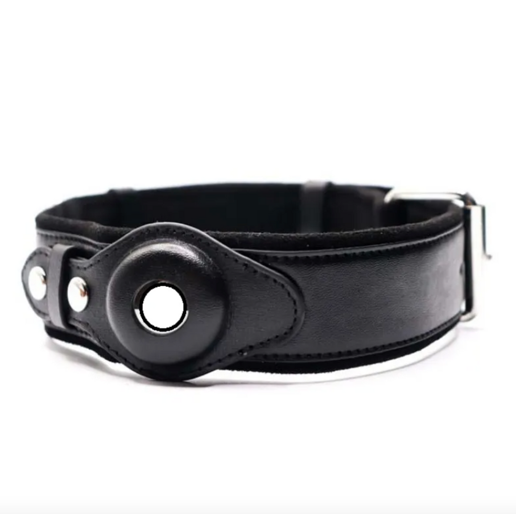 Leather Dog Collar with Location Tracker