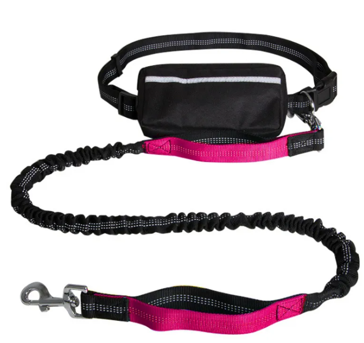 Reflecto Hands-Free Dog Leash