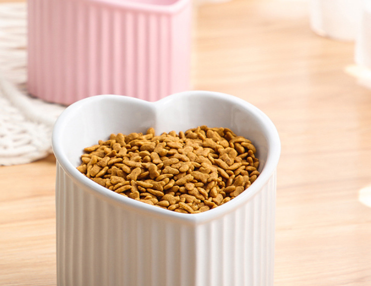 Ceramic Pet Bowl with Slanted Design