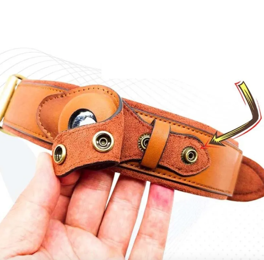 Leather Dog Collar with Location Tracker